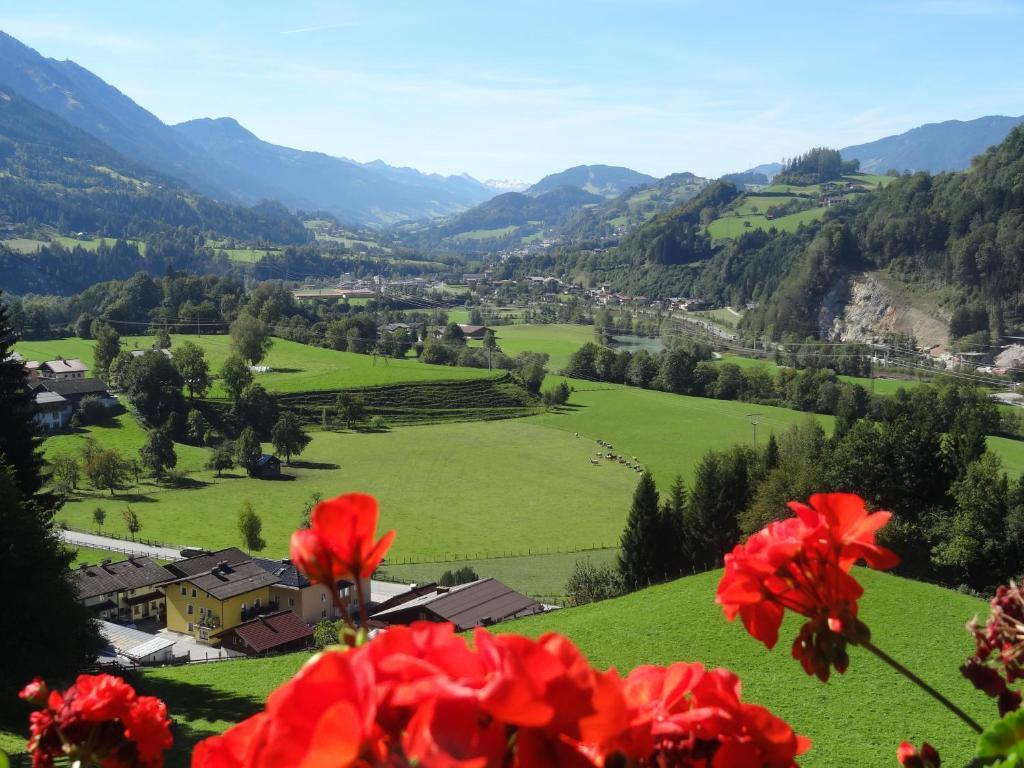Pension Appartements Reithof Sankt Johann im Pongau Bilik gambar