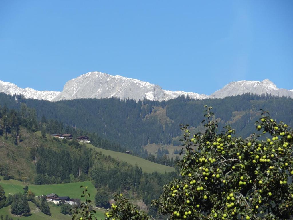 Pension Appartements Reithof Sankt Johann im Pongau Bilik gambar